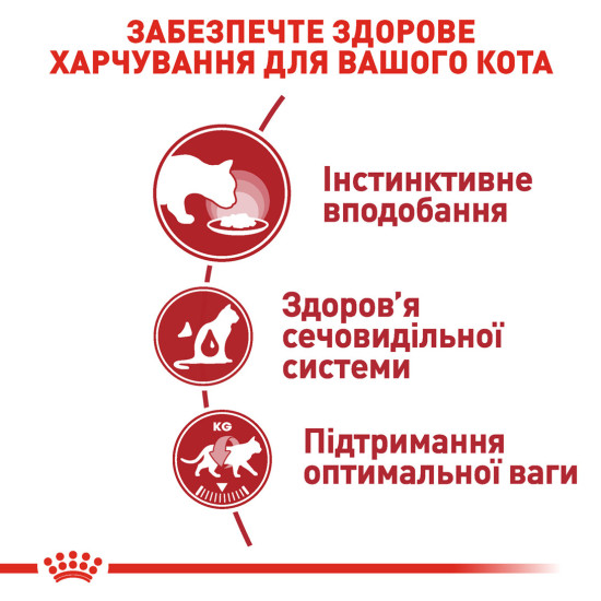 Вологий корм для дорослих котів ROYAL CANIN INSTINCTIVE IN JELLY 0.085 кг