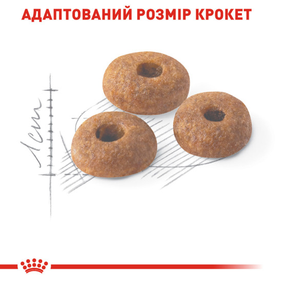 Корм для домашніх і вуличних котів ROYAL CANIN FIT 4.0 кг