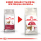 Корм для домашніх і вуличних котів ROYAL CANIN FIT 0.4 кг