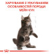 Корм для кошенят ROYAL CANIN MAINECOON KITTEN 2.0 кг