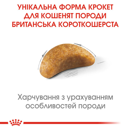 Корм для кошенят ROYAL CANIN KITTEN BRITISH SHORTHAIR 2.0 кг