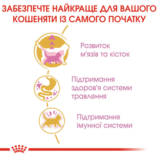 Корм для кошенят ROYAL CANIN KITTEN BRITISH SHORTHAIR 2.0 кг