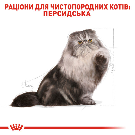 Корм для дорослих котів породи Персидська ROYAL CANIN PERSIAN ADULT 2.0 кг