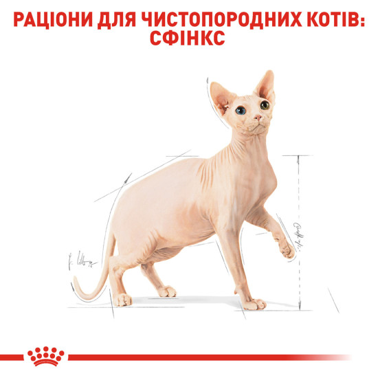 Корм для дорослих котів породи Сфінкс ROYAL CANIN SPHYNX ADULT 10.0 кг