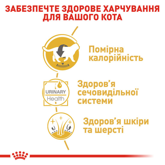 Вологий корм для дорослих котів ROYAL CANIN BRITISH SHORTHAIR ADULT 0.085 кг