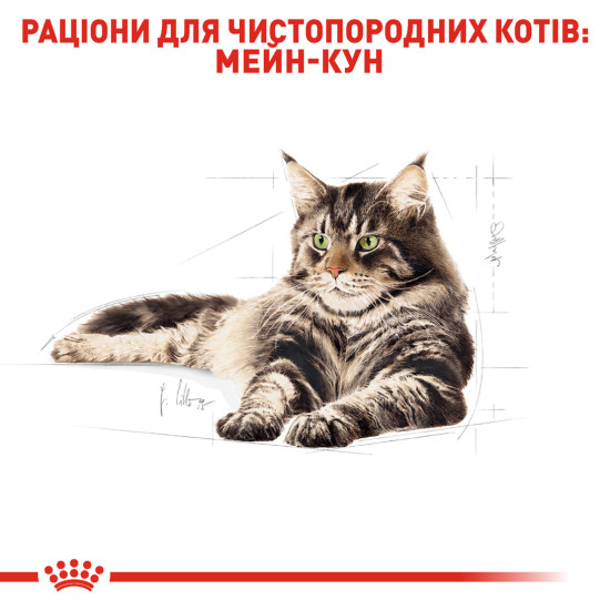 Корм для дорослих котів ROYAL CANIN MAINECOON ADULT 2.0 кг