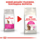 Корм для котів ROYAL CANIN EXIGENT SAVOUR 2.0 кг