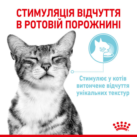 Вологий корм для дорослих котів ROYAL CANIN SENSORY FEEL GRAVY шматочки у соусі 85г, стимулює відчуття корму