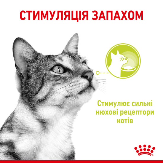 Вологий корм для дорослих котів ROYAL CANIN SENSORY SMELL JELLY 0.085 кг, стимулює нюхові рецептори