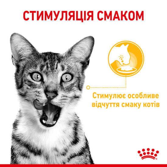 Вологий корм для дорослих котів ROYAL CANIN SENSORY TASTE GRAVY 85 г, шматочки у соусі, cтимулює смак