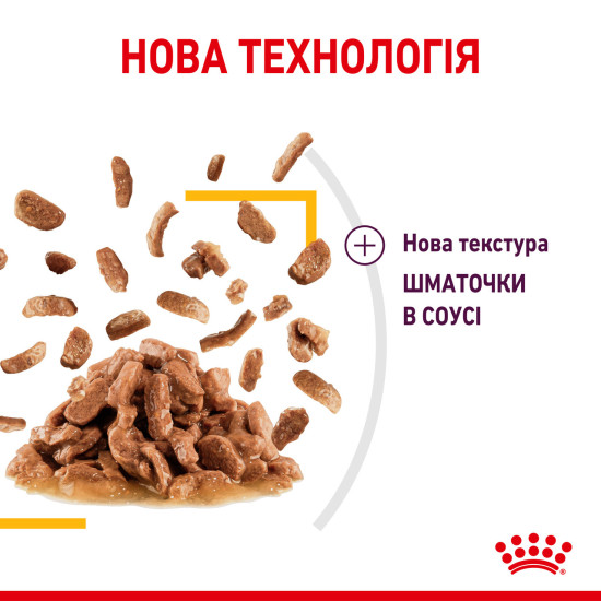 Вологий корм для дорослих котів ROYAL CANIN SENSORY TASTE GRAVY 85 г, шматочки у соусі, cтимулює смак