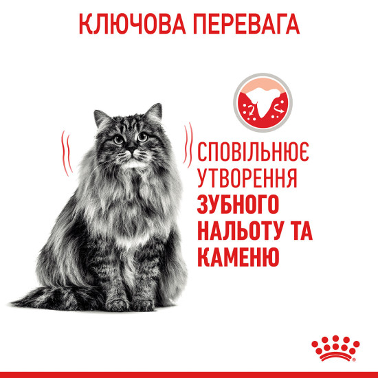 Корм для котів ROYAL CANIN DENTAL CARE 1.5 кг, для зменшення утворення зубного нальоту та каменю