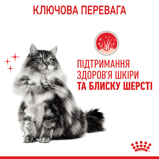 Вологий корм для дорослих котів ROYAL CANIN HAIR&SKIN CARE IN GRAVY 0.085 кг
