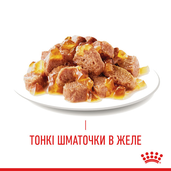 Вологий корм для дорослих  котів ROYAL CANIN HAIR&SKIN CARE IN JELLY 0.085 кг