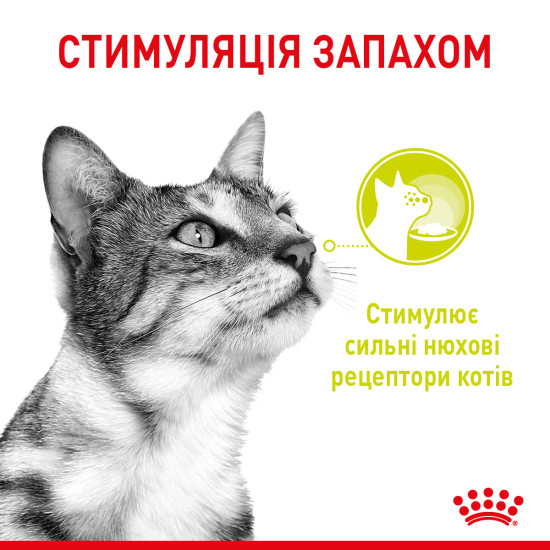 Вологий корм для дорослих котів ROYAL CANIN SENSORY MULTIPACK GRAVY, 12 паучів