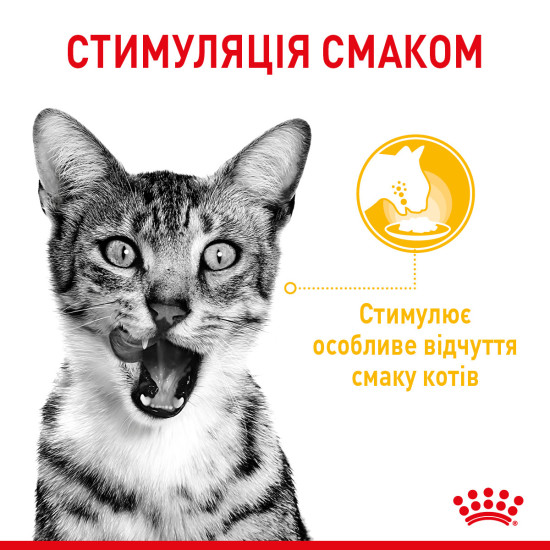 Вологий корм для дорослих котів ROYAL CANIN SENSORY MULTIPACK GRAVY, 12 паучів