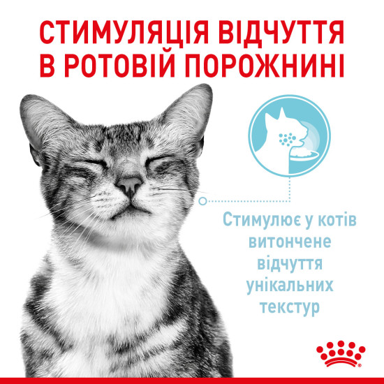 Вологий корм для дорослих котів ROYAL CANIN SENSORY MULTIPACK GRAVY, 12 паучів