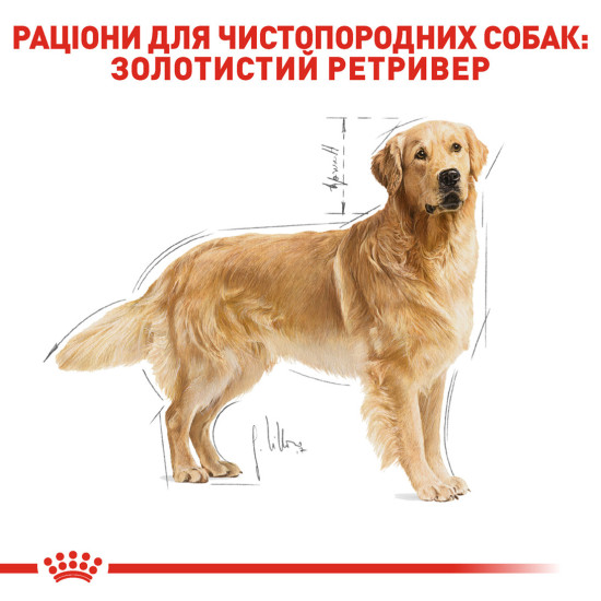 Корм для дорослих собак породи Золотистий ретривер ROYAL CANIN GOLDEN RETRIEVER ADULT 12.0 кг