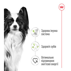Сухий корм для дорослих собак дрібних порід ROYAL CANIN XSMALL ADULT 1.5 кг