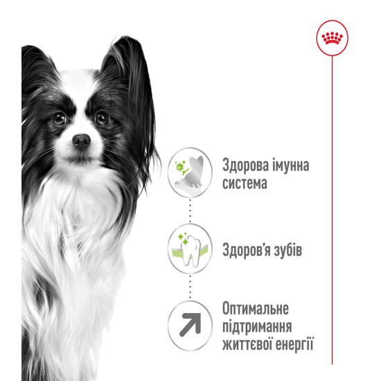 Корм для дорослих собак ROYAL CANIN XSMALL ADULT 8+(віком від 8 років) 3 кг