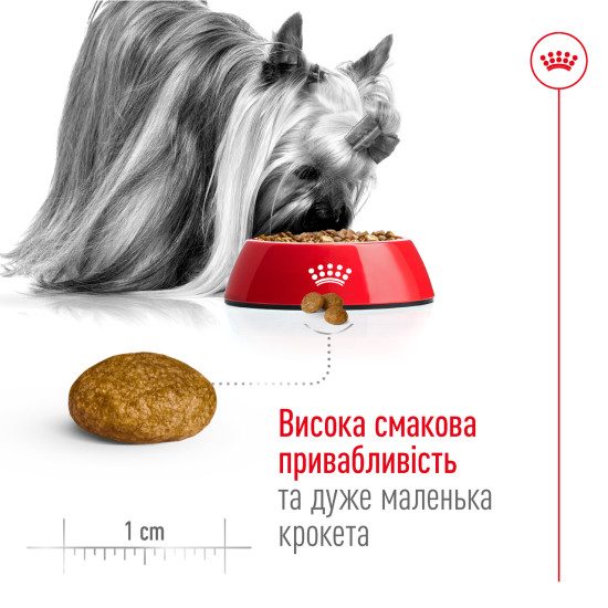 Корм для дорослих собак ROYAL CANIN XSMALL ADULT 8+(віком від 8 років) 3 кг