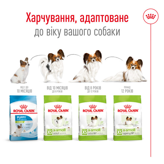 Корм для дорослих собак ROYAL CANIN XSMALL ADULT 8+(віком від 8 років) 3 кг