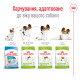 Корм для дорослих собак ROYAL CANIN XSMALL ADULT 8+(віком від 8 років) 3 кг