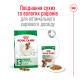 Корм для дорослих собак малих порід ROYAL CANIN MINI ADULT 4 кг