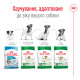 Корм для дорослих собак малих порід ROYAL CANIN MINI ADULT 8 кг