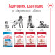 Корм для дорослих собак середніх порід віком ROYAL CANIN MEDIUM ADULT 7+(від 7 років) 4 кг