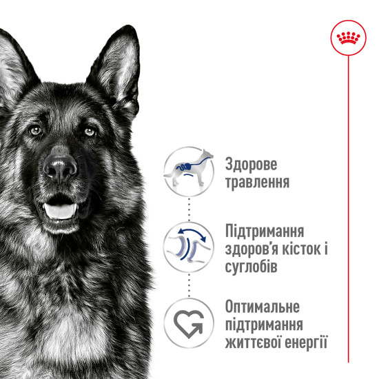 Корм для дорослих собак ROYAL CANIN MAXI ADULT 4.0 кг