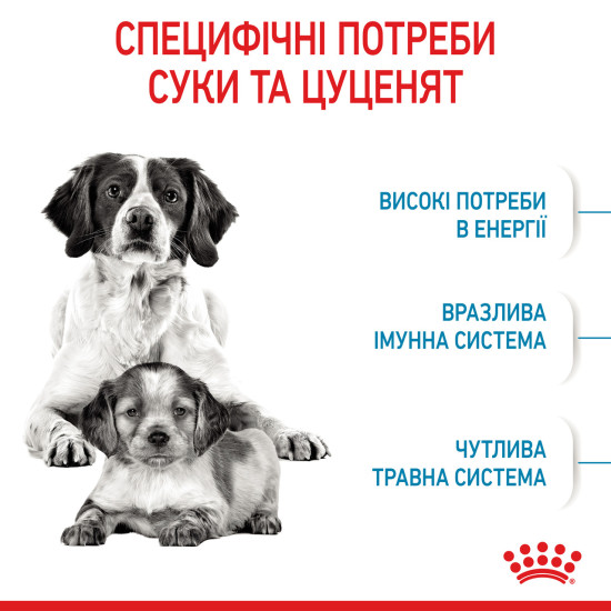 Корм для цуценят середніх порід ROYAL CANIN MEDIUM STARTER 1.0 кг
