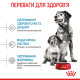 Корм для цуценят середніх порід ROYAL CANIN MEDIUM STARTER 1.0 кг