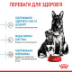 Корм для новонароджених цуценят великих порід собак ROYAL CANIN MAXI STARTER 4 кг
