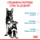 Корм для новонароджених цуценят великих порід собак ROYAL CANIN MAXI STARTER 4 кг