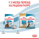 Корм для новонароджених цуценят великих порід собак ROYAL CANIN MAXI STARTER 4 кг