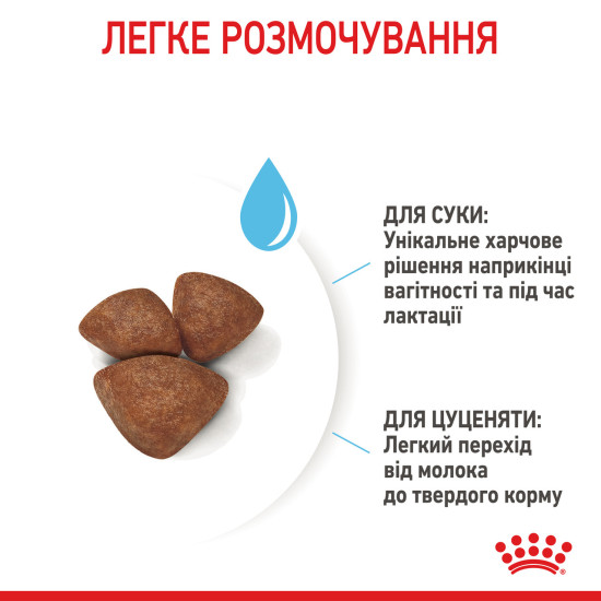 Корм для новонароджених собак ROYAL CANIN MINI STARTER 8 кг