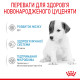 Молоко для новонароджених собак ROYAL CANIN BABYDOG MILK 2 кг