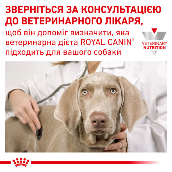Корм для дорослих собак ROYAL CANIN SKIN CARE ADULT DOG 11.0 кг