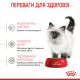 Корм для кошенят ROYAL CANIN KITTEN 4.0 кг