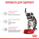 Корм для стерилізованих кошенят ROYAL CANIN KITTEN STERILISED 2.0 кг