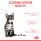 Корм для стерилізованих кошенят ROYAL CANIN KITTEN STERILISED 2.0 кг