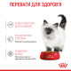 Вологий корм для кошенят (шматочки у соусі) ROYAL CANIN KITTEN IN GRAVY 0.085 кг, у паучах
