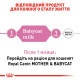 Молоко для новонароджених кошенят ROYAL CANIN BABYCAT MILK 0.3 кг