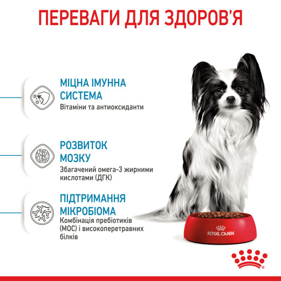 Корм для цуценят мініатюрних порід ROYAL CANIN XSMALL PUPPY 0.5 кг