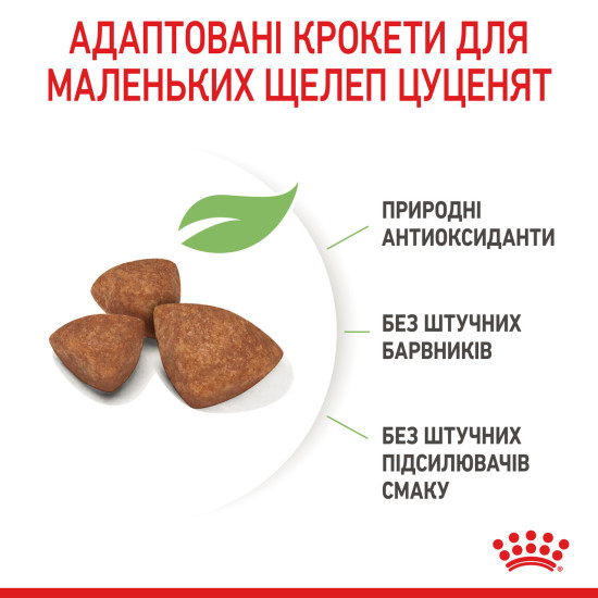 Корм для цуценят мініатюрних порід ROYAL CANIN XSMALL PUPPY 0.5 кг