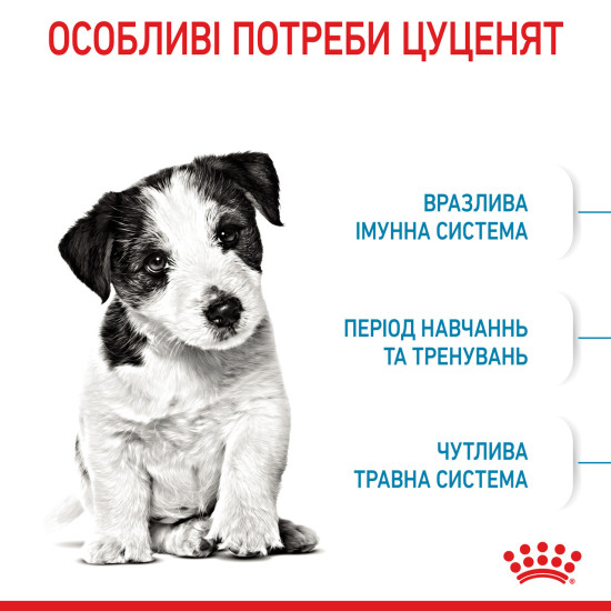 Корм для цуценят малих порід ROYAL CANIN MINI PUPPY 0.8 кг