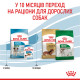 Корм для цуценят малих порід ROYAL CANIN MINI PUPPY 0.8 кг