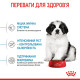 Корм для цуценят гігантських порід ROYAL CANIN GIANT PUPPY 1.0 кг